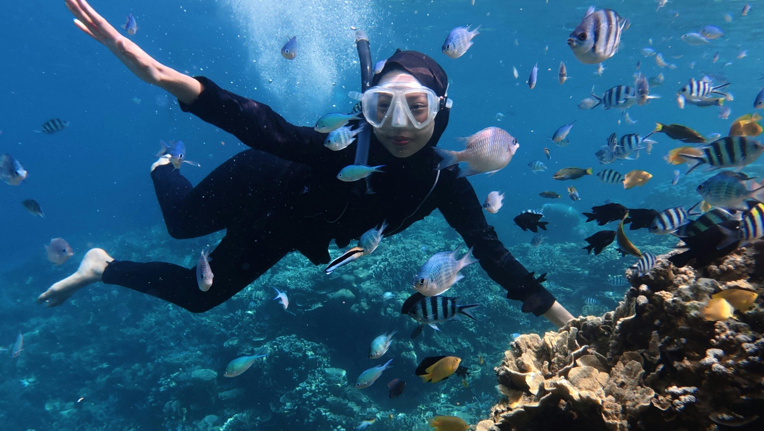 pexels the karimunjawa 2157624059 34840014