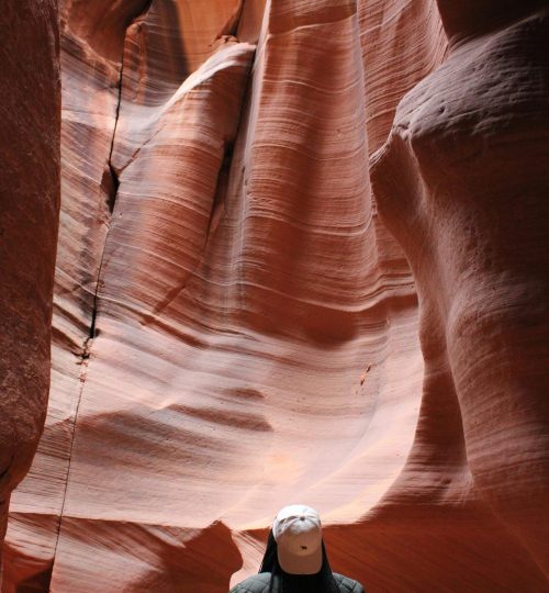 pexels luana scorsoni 2154631905 33448068